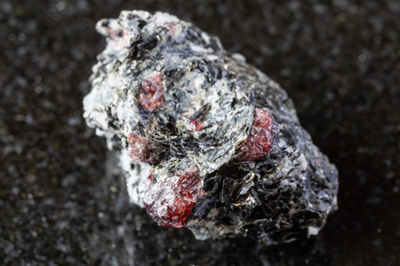 sample of raw rock with red almandine garnets on black granite background close up from Karelia, Russiaの写真素材