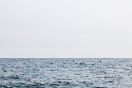 gray sky over Pacific ocean in Avacha bay on spring day near Petropavlovsk-Kamchatsky city, Kamchatka Krai, Russiaの写真素材