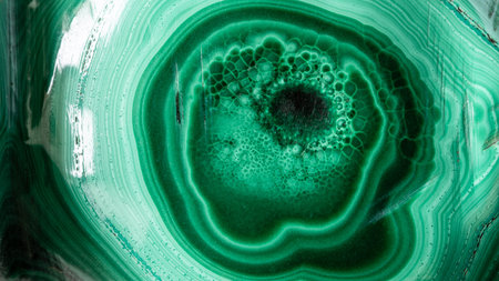 gemological background - polished surface of malachite rock close up