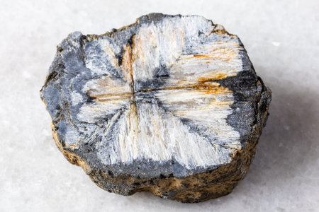 sample of raw chiastolite rock on white marble background close up from Kola Peninsula, Russia