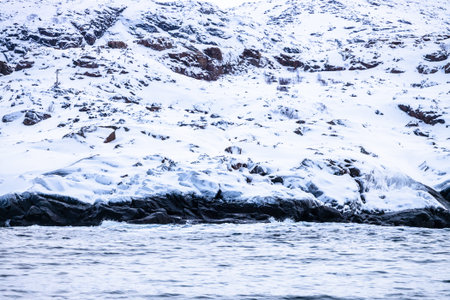 view of snowy coast of Barents Sea in Teriberka village on overcast winter day