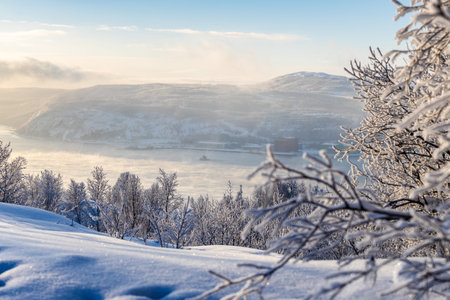 travel to Murmansk Oblast of Russia in winter season - frozen grove on Cape Green observation deck...