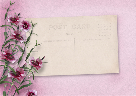 Vintage pink background with old postcard and carnationの写真素材