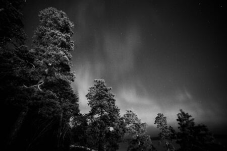 Black and white northern lightsの写真素材