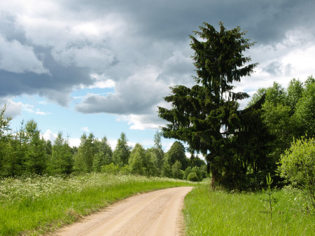 Country roadの写真素材
