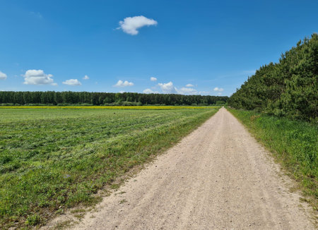 gravel road by side of meadowの写真素材