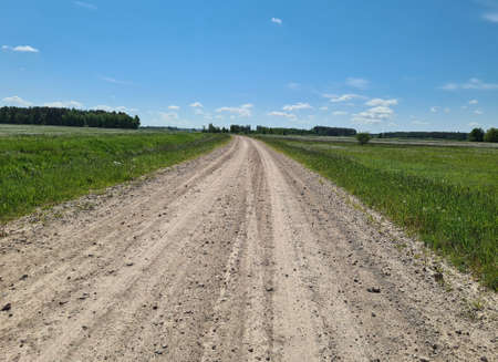 Gravel road with meadows on both sides.の写真素材