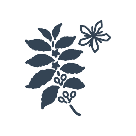 vector black icon coffee tree, plant with flowersのイラスト素材