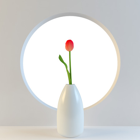 Red tulip in a vase on a white background circular holeの写真素材