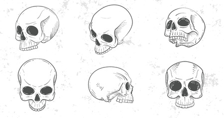 Set of skull headsのイラスト素材