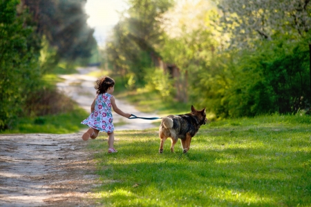 Little girl with dog running on the road to the sunの写真素材