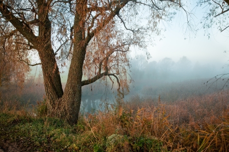 Mist over the river at sunriseの写真素材
