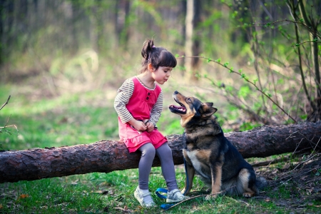 Happy little girl with dog in the woodの写真素材