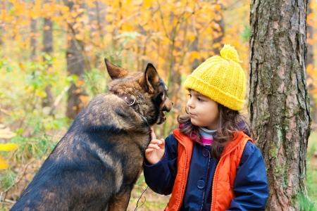 Little girl with big dog in the forest in autumnの写真素材