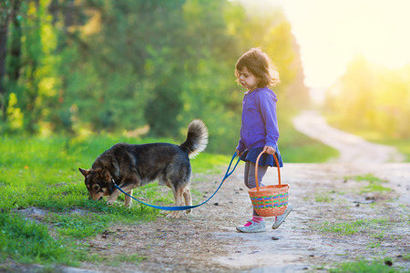 Little girl walking with dogの写真素材