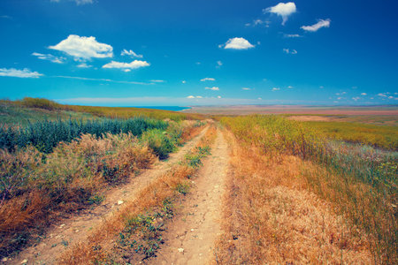 Rural road to the sea coast