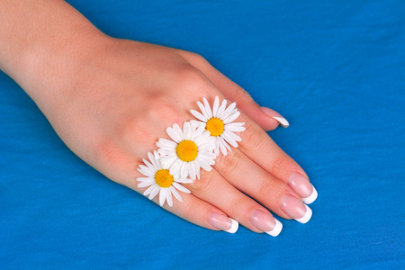Beautiful female hand with perfect french manicure decorated with chamomile flowersの写真素材