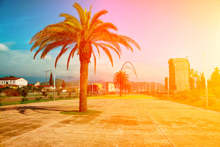 Batumi city at sunset, Georgia, Europeの写真素材