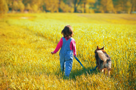 Little girl with dog walking in the field back to cameraの写真素材