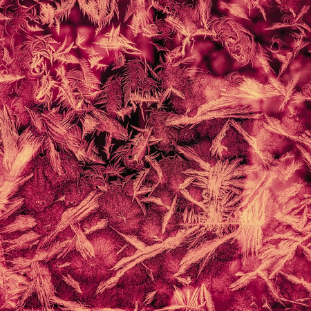 Frosty pattern on the window in marsala colorの写真素材