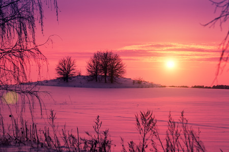 Beautiful pink sunset over snowy field with treesの写真素材