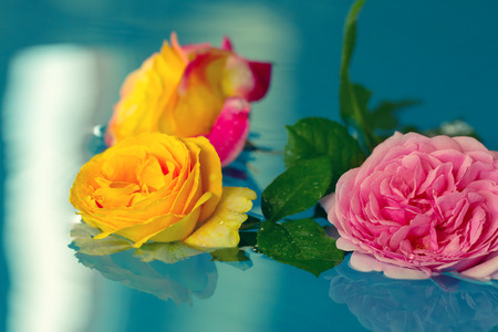 Bouquet of roses on waterの写真素材