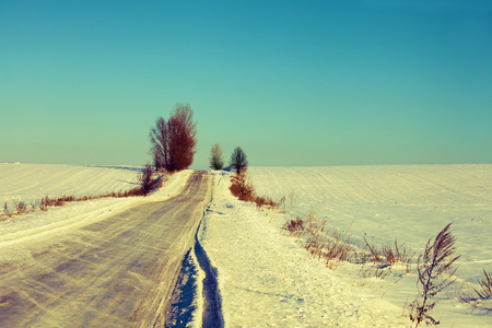 Rural winter landscapeの写真素材
