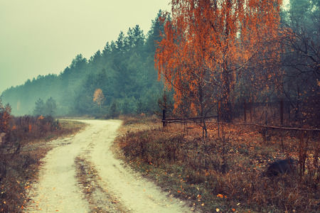 Autumn rainy rural landscapeの写真素材