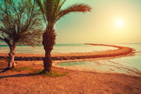 Dead Sea shore in Ein Gedi at sunrise, Israelの写真素材