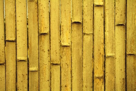 Abstract grunge golden bamboo backgroundの写真素材