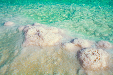 Texture of Dead sea. Salt sea shore
