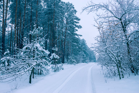 Rural winter snowy landscape