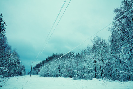 Frozen power transmission lines. Bad weather. Winter rural snowy landscapeの写真素材