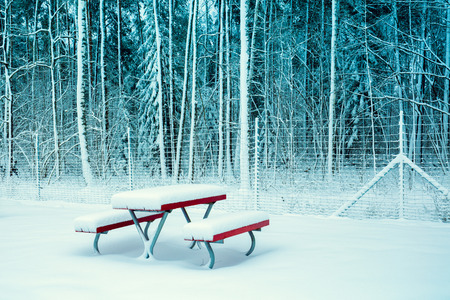 Winter park covered with snowの写真素材