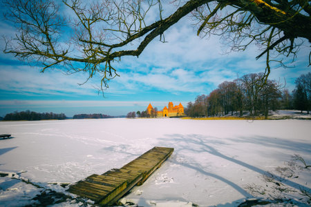 Frozen lake in Trakai. Tree branch at front and Trakai Castle at background