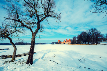 Frozen lake with tree, Trakai, Lithuaniaの写真素材