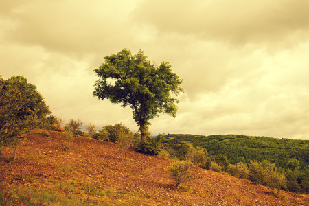 Tuscany landscape in rainy weather with dramatic cloudy sky. Val d'Orcia, Italyの写真素材