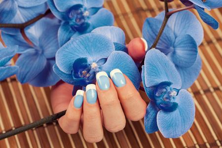Beautiful female hand with french manicure on blue orchid flowersの写真素材