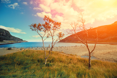 Rocky sea coast with trees. Fjord at sunset light.の写真素材