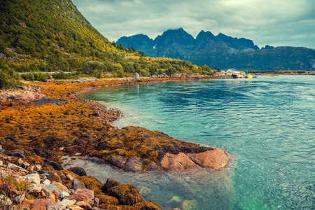 Fjord at sunset. Rocky bank in evening. Beautiful nature Norway. Lofoten islandsの写真素材