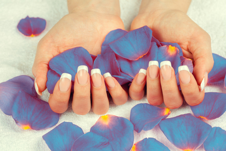 Beautiful female hands with french manicure hold rose petals. Manicure salon.の写真素材