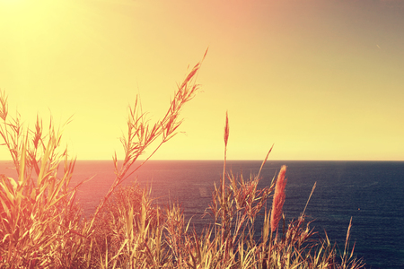 Sea shore in eveningの写真素材