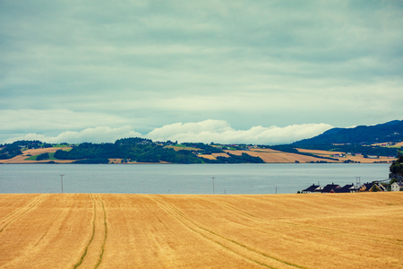 Mountain landscape with wheat field, fjord and blue cloudy sky. Beautiful nature norwegian lapland.の写真素材