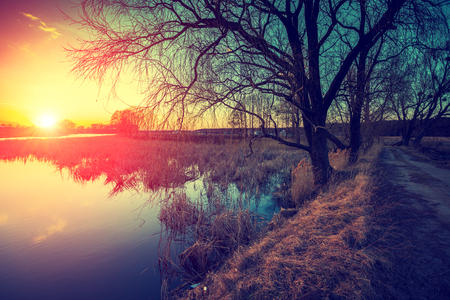 Wild nature. Autumn rural landscape. Trees without leaves near the calm river. Misty morning in countrysideの写真素材