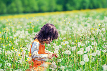 Happy little girl playing on the field of dandelion flowers in springの写真素材