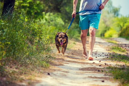 A man runs barefoot with a dog on a dirt road in summerの写真素材