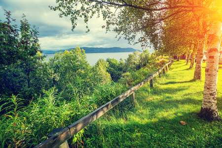 Lake shore with birch trees in a sunny day. Beautiful nature of Norwayの写真素材