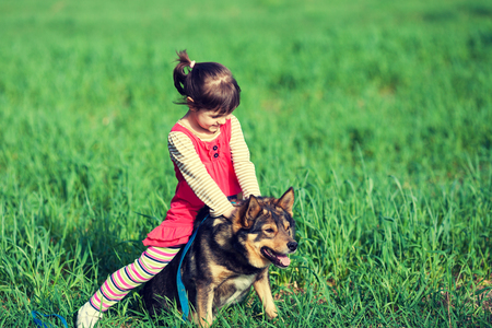 Little girl is playing with a dog on the green lawn. A child is sitting on a dogの写真素材