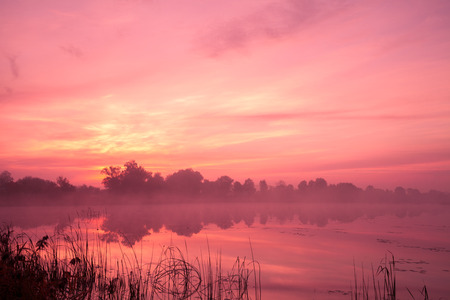 Early morning, dawn over the lake. Misty morning, rural landscape, wilderness, mystical feelingの写真素材