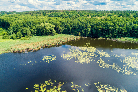 Aerial view of wild pond.  Beautiful reflection of clouds in a water. Waldernessの写真素材